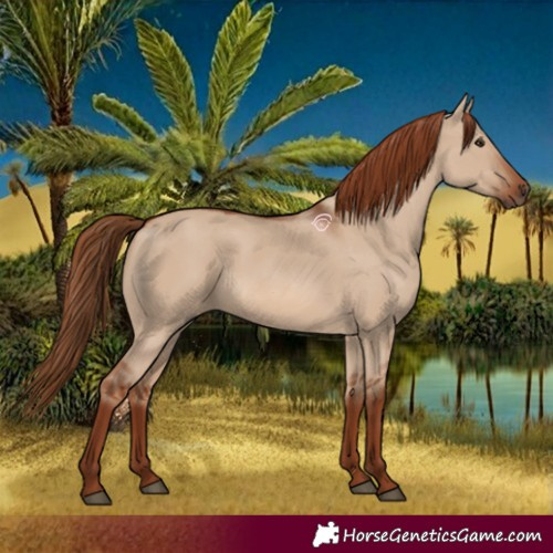 Horse Color:Red Dun 