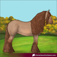 Horse Color:Red Dun 