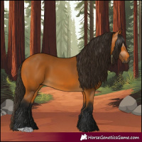 Horse Color:Gray Buckskin