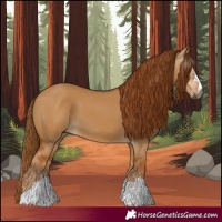 Horse Color:Gray Red Dun 