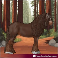 Horse Color:Gray Chestnut