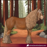 Horse Color:Gray Chestnut