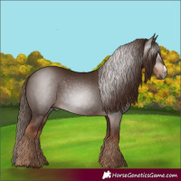 Horse Color:Gray Chestnut Frame