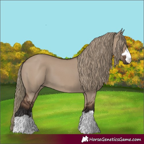 Horse Color:Liver Red Dun 
