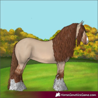 Horse Color:Red Dun 