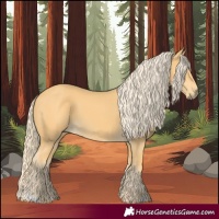 Horse Color:Palomino