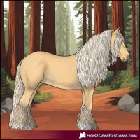 Horse Color:Palomino 