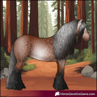 Horse Color:Gray Bay 