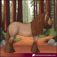 Horse Color:Red Dun Rabicano 