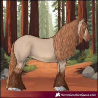 Horse Color:Red Dun 