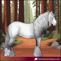 Horse Color:Gray Black