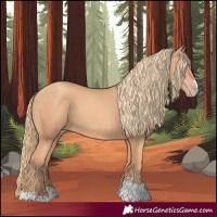 Horse Color:Gold Champagne