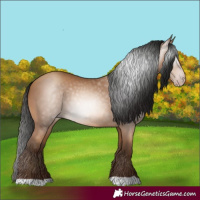 Horse Color:Gray Amber Champagne