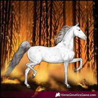 Horse Color:Liver Chestnut Sabino Splash Snowflake Varnish