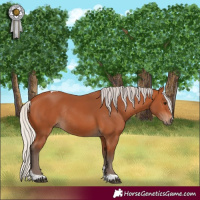 Horse Color:Silver Bay Tobiano Rabicano