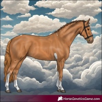 Horse Color:Chestnut Tobiano 
