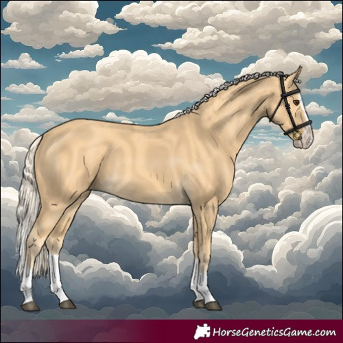Horse Color:Palomino Splash 