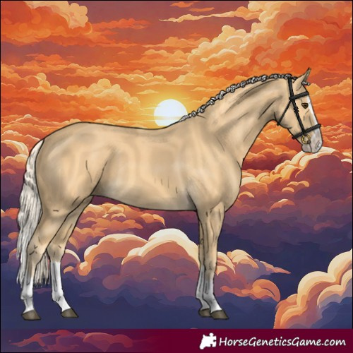 Horse Color:Palomino Splash 