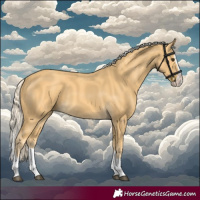 Horse Color:Palomino Splash 