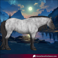 Horse Color:Smoky Blue Roan
