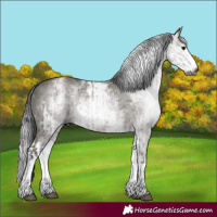 Horse Color:Gray White Spotted Grullo Rabicano and Gray White Spotted Grullo Rabicano