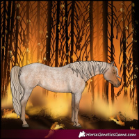 Horse Color:Chocolate Palomino Roan