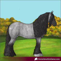 Horse Color:Smoky Blue Roan 
