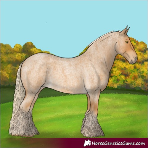 Horse Color:Palomino Roan 