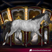 Horse Color:Smoky Blue Roan