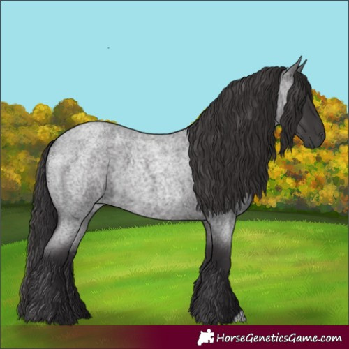 Horse Color:Smoky Blue Roan