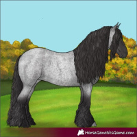 Horse Color:Smoky Blue Roan