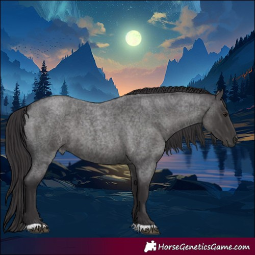 Horse Color:Smoky Blue Roan 