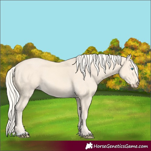 Horse Color:Cremello 