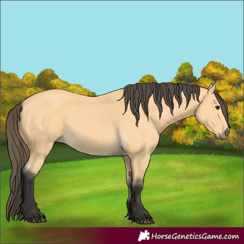 Horse Color:Buckskin