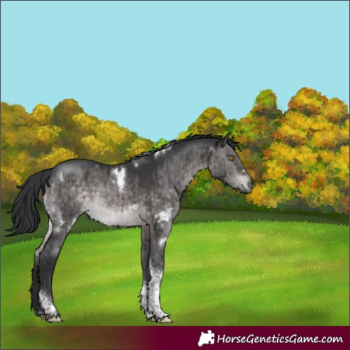 Horse Color:Platinum White Spotted Brown Dun Tobiano Rabicano Brindle 
