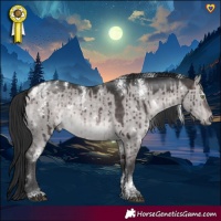 Horse Color:Powder White Platinum White Spotted Brown Dun Rabicano Brindle