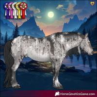 Horse Color:Powder White Platinum White Spotted Brown Dun Rabicano Brindle 