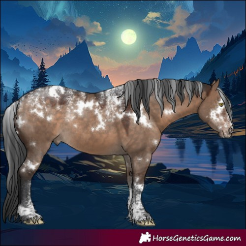 Horse Color:Powder White White Spotted Brown Dun Rabicano 