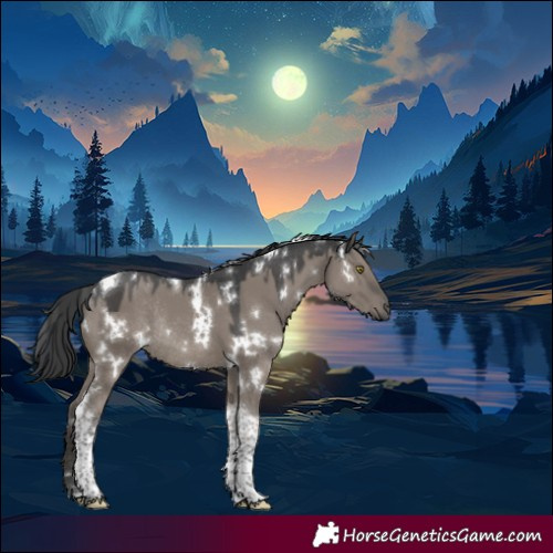 Horse Color:White Spotted Grullo Tobiano Rabicano