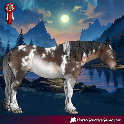 Horse Color:White Spotted Brown Tobiano Rabicano 
