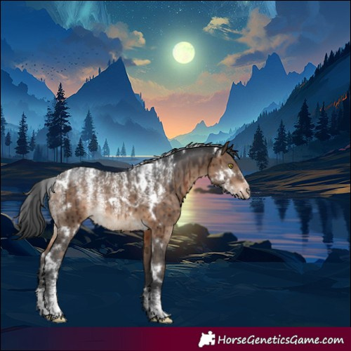 Horse Color:Powder White White Spotted Brown Dun Rabicano Brindle