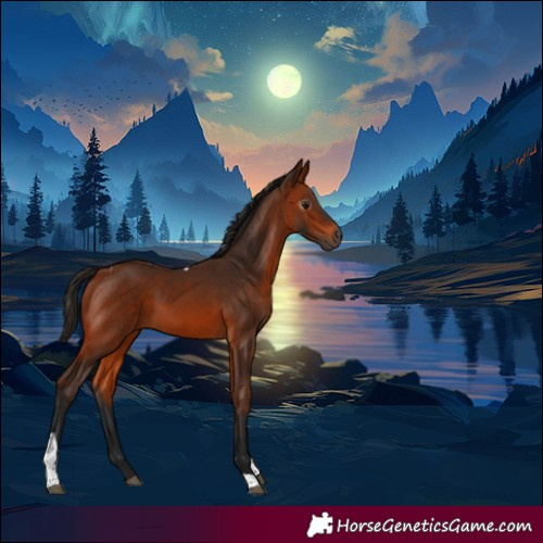 Horse Color:Gray Bay Tobiano