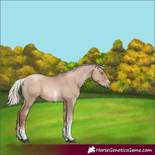 Horse Color:White Spotted Silver Grullo Pearl Mushroom