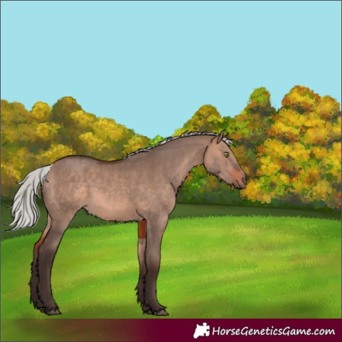 Horse Color:Silver Brown Dun Mushroom