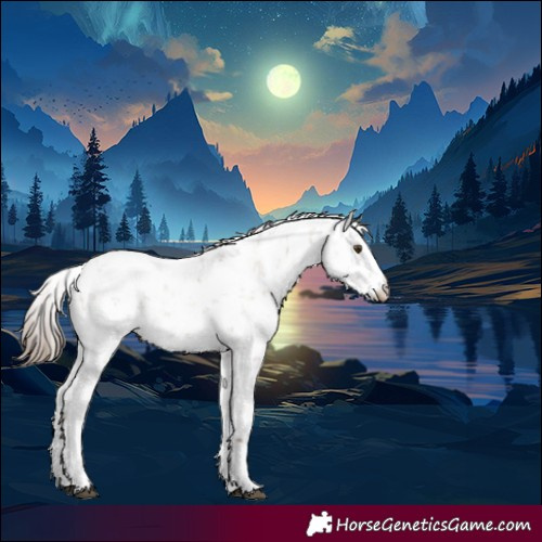 Horse Color:White Spotted Grullo Pearl Mushroom Sabino Rabicano 