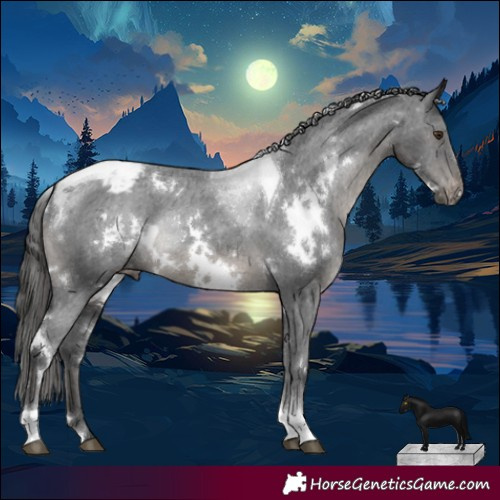 Horse Color:White Spotted Black Tobiano Varnish