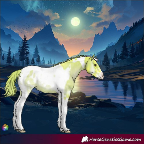 Horse Color:Watercolor Liver Red Onyx Sabino Tobiano Appaloosa 