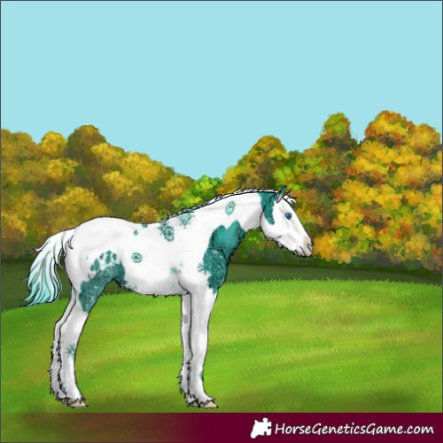 Horse Color:Watercolor Black Ice Splash Tobiano Appaloosa 