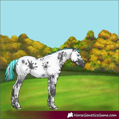 Horse Color:Painted White Spotted Black Ice Splash