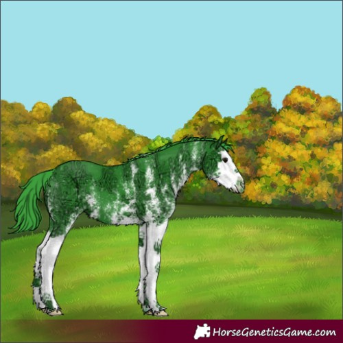 Horse Color:Watercolor White Spotted Black Ice Splash Varnish